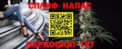 PSILOCYBIN Ефремов