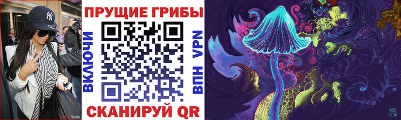 купить закладку  Кондопога  Псилоцибиновые грибы GOLDEN TEACHER 
