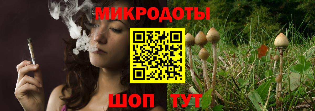 Галлюциногенные грибы мицелий Кондопога